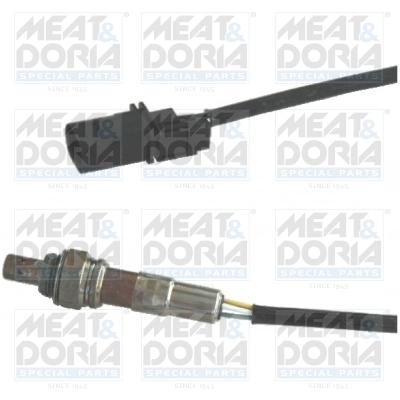 Oxygen Sensor